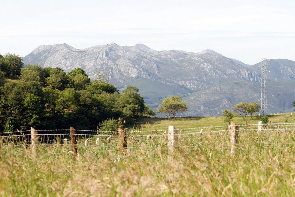 El Trebano Country house *